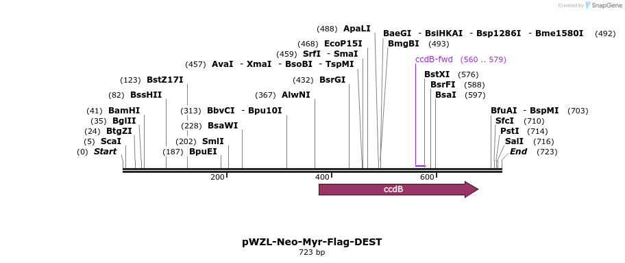 67423_map