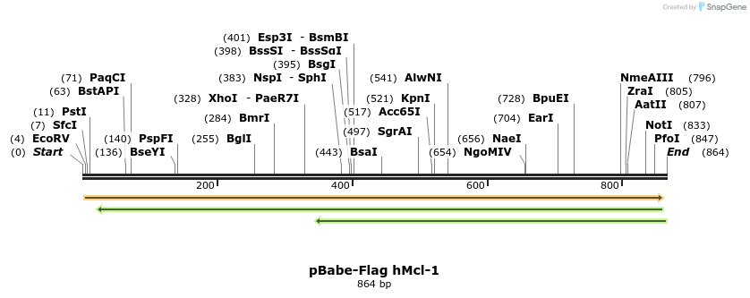 67426_map