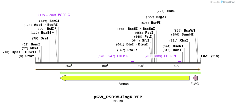67430_map