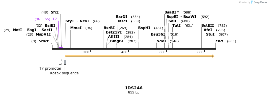 67433_map