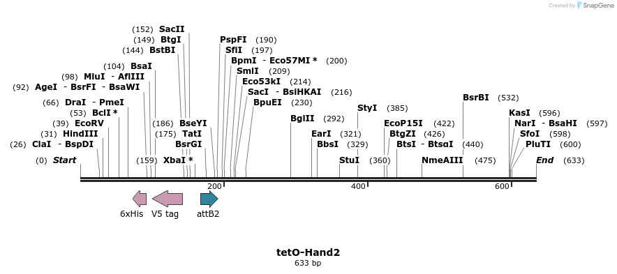 67440_map