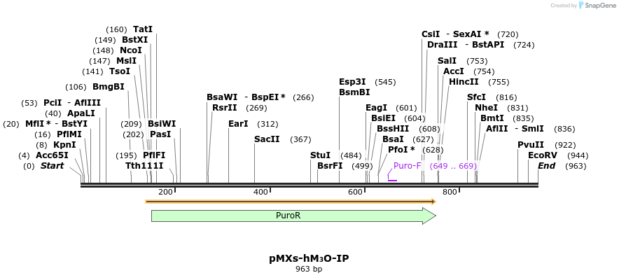 67441_map