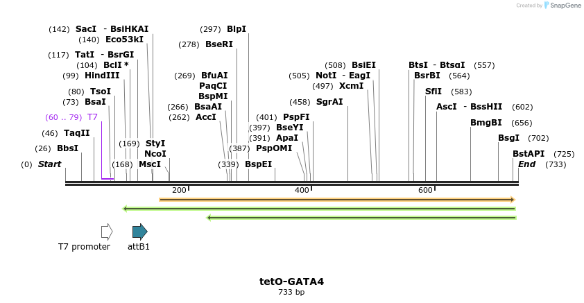 67442_map