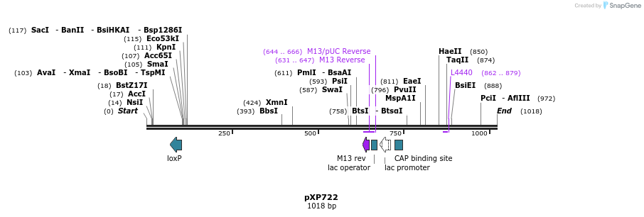 67445_map