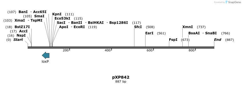 67446_map