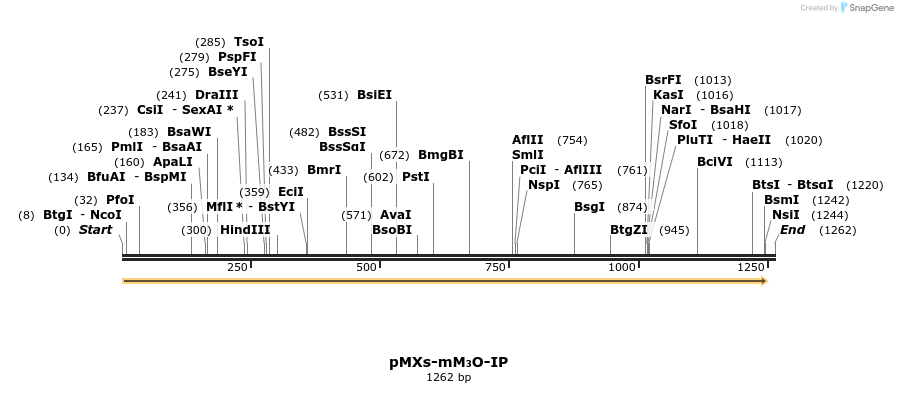 67447_map