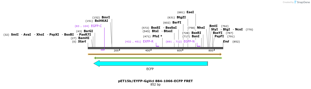 67449_map