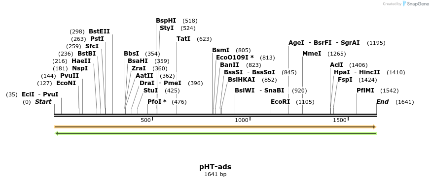 67451_map