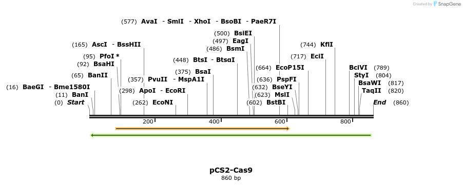 67456_map