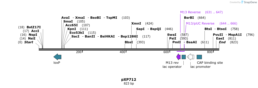 67460_map