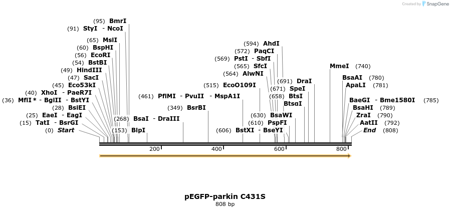 67467_map