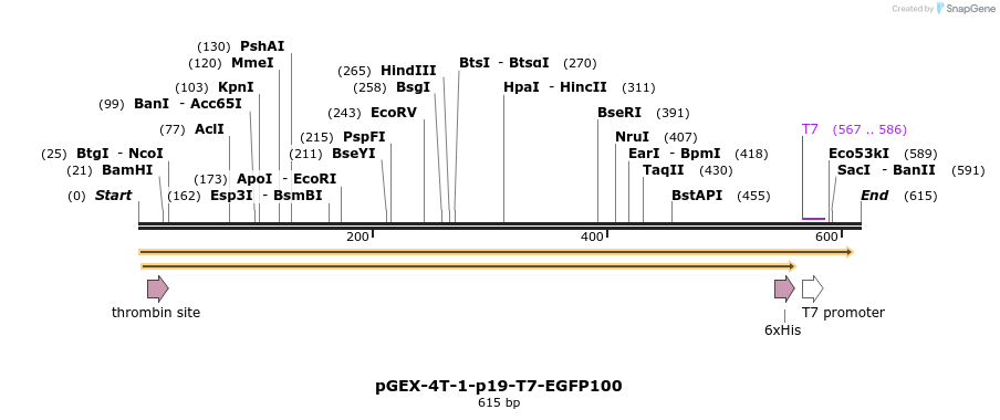 67470_map