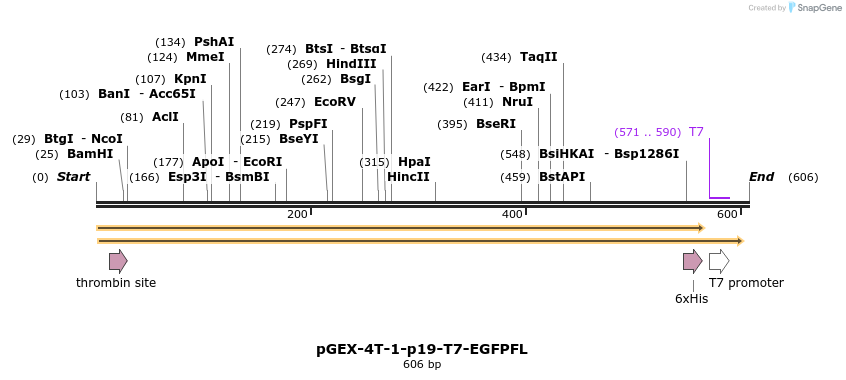 67474_map