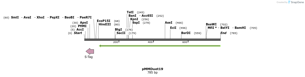 67478_map