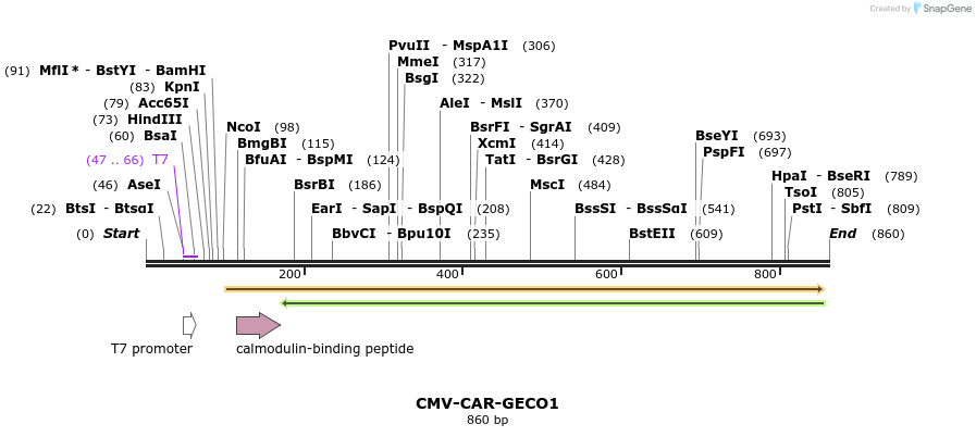 67484_map