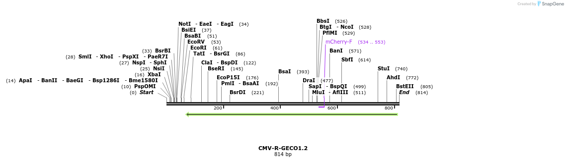 67486_map