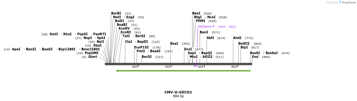 67494_map