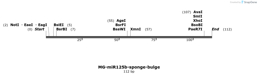 67496_map