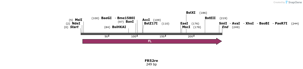 67498_map