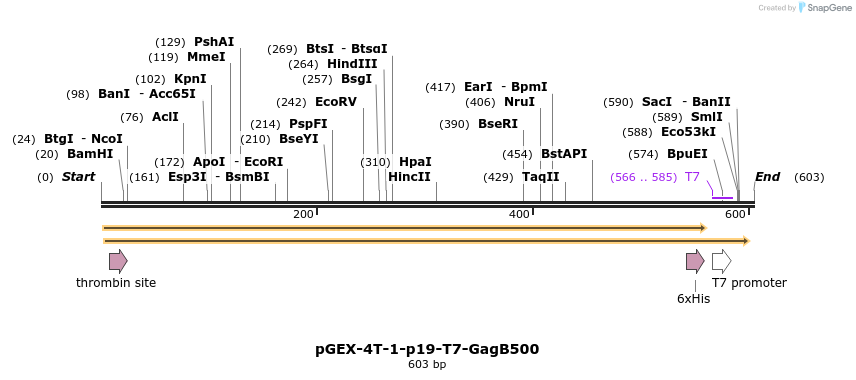 67499_map