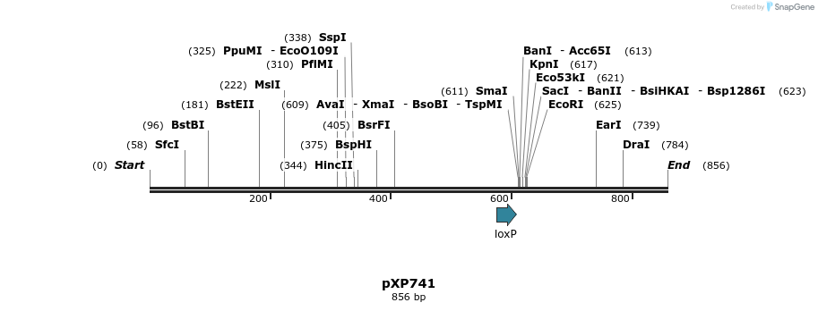 67500_map