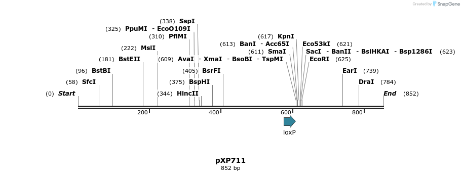 67501_map