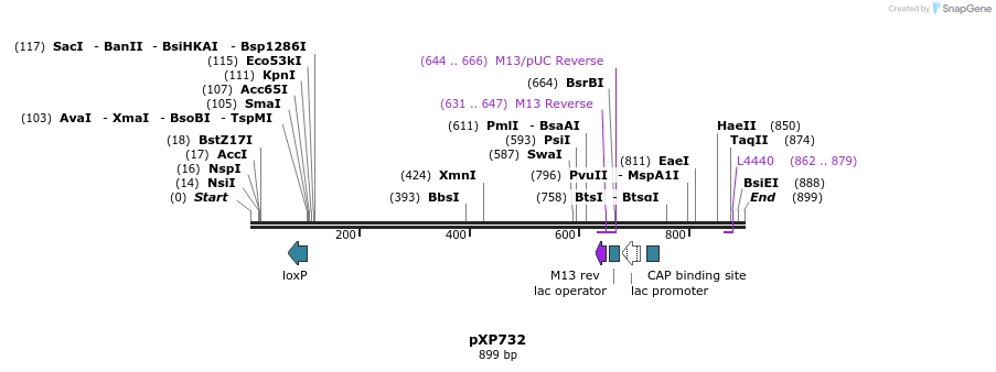 67502_map