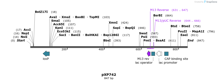 67504_map