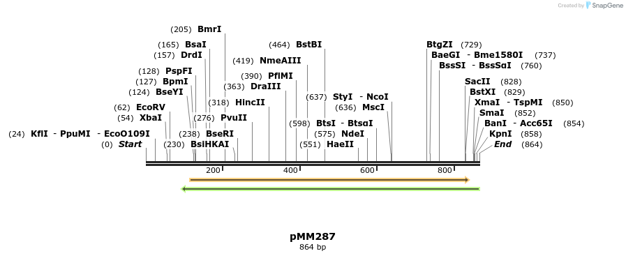 67505_map