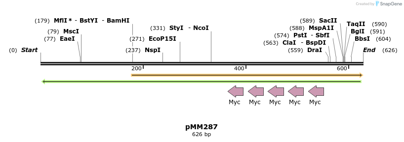67506_map
