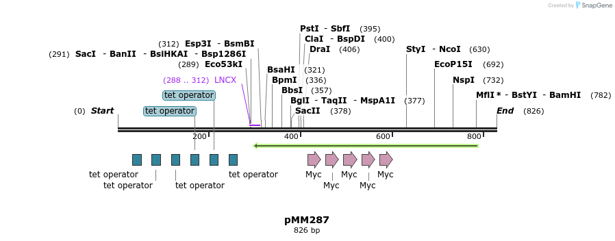 67507_map