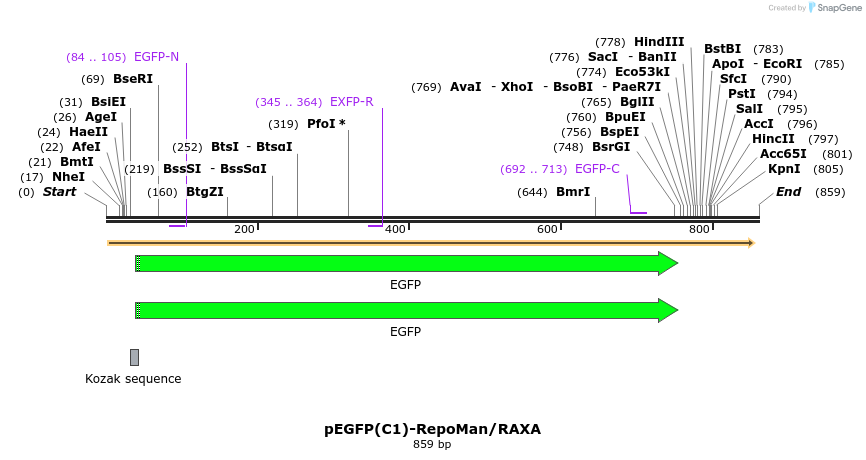 67515_map