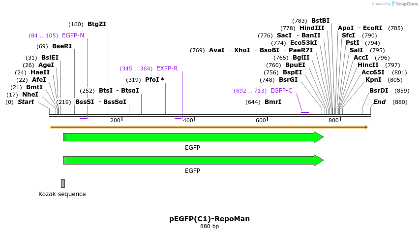 67517_map