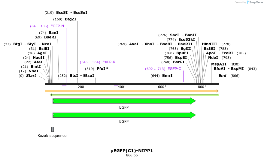 67518_map