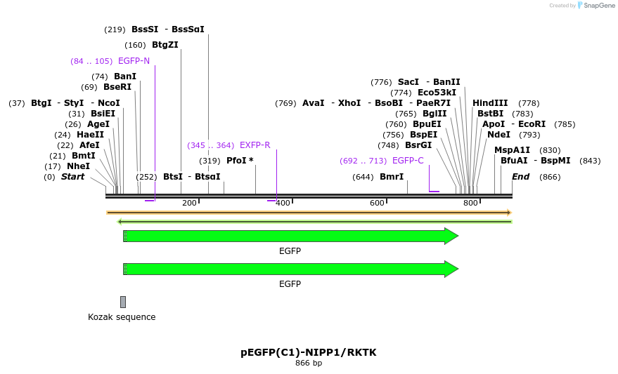 67519_map