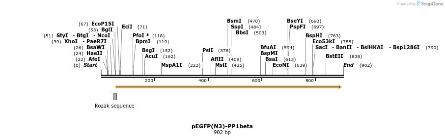 67520_map