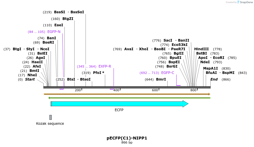 67523_map