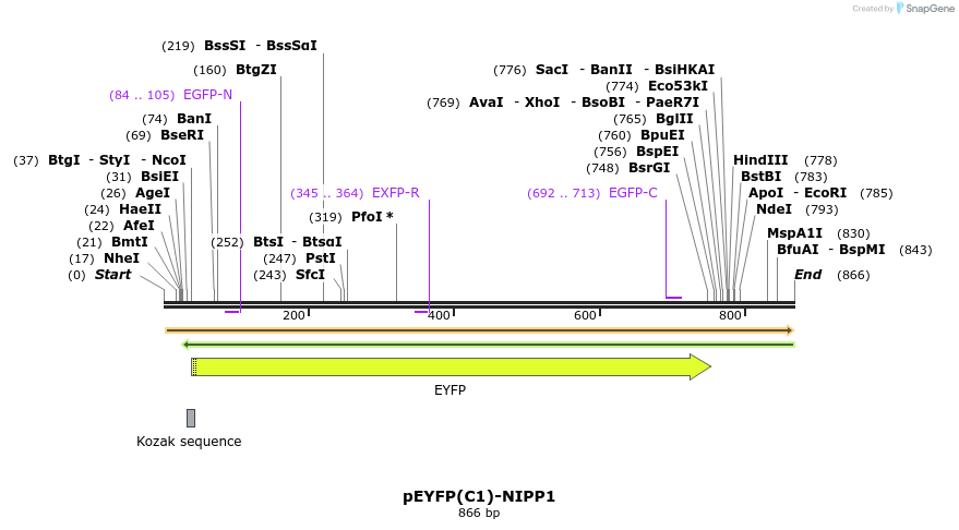 67525_map