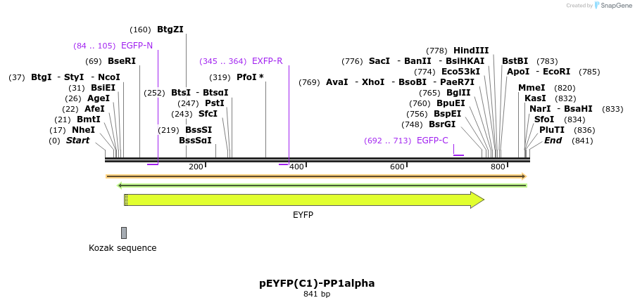67528_map