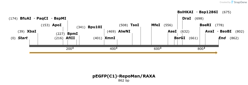 67533_map