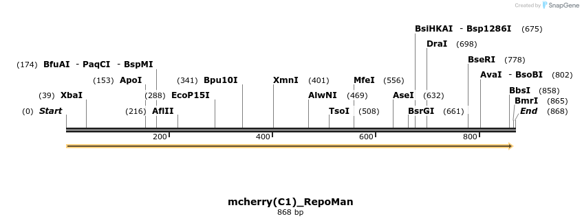 67536_map