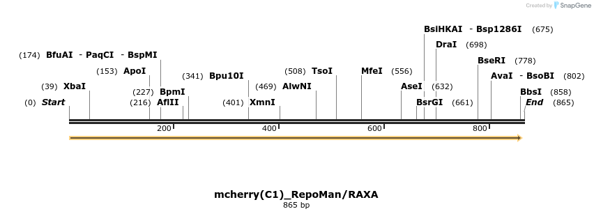67539_map