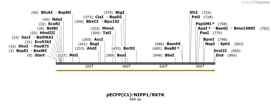 67540_map