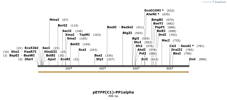 67543_map
