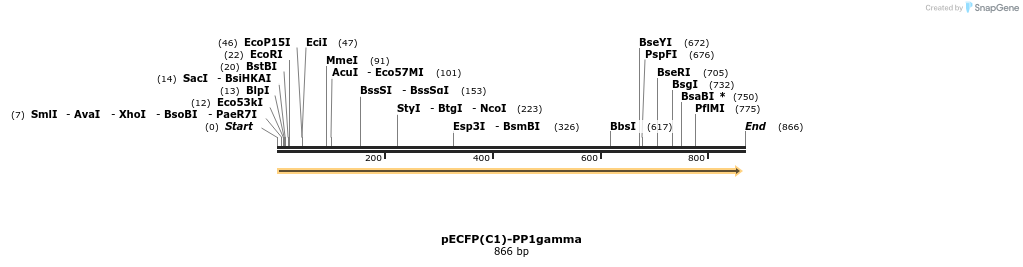 67544_map