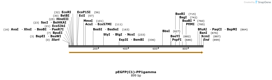 67546_map