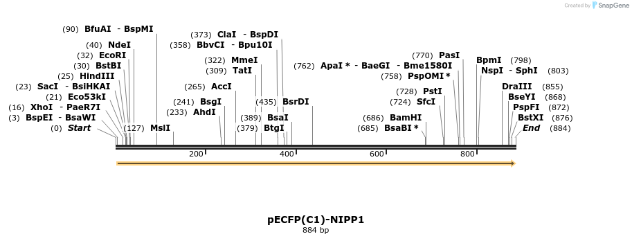 67547_map