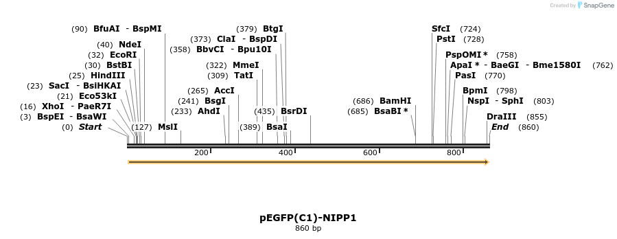 67548_map