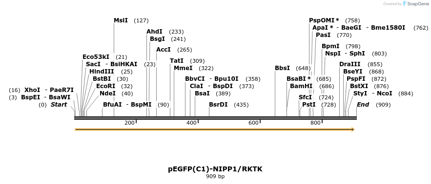 67549_map