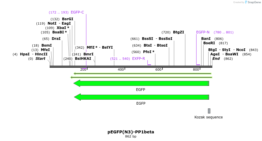 67551_map